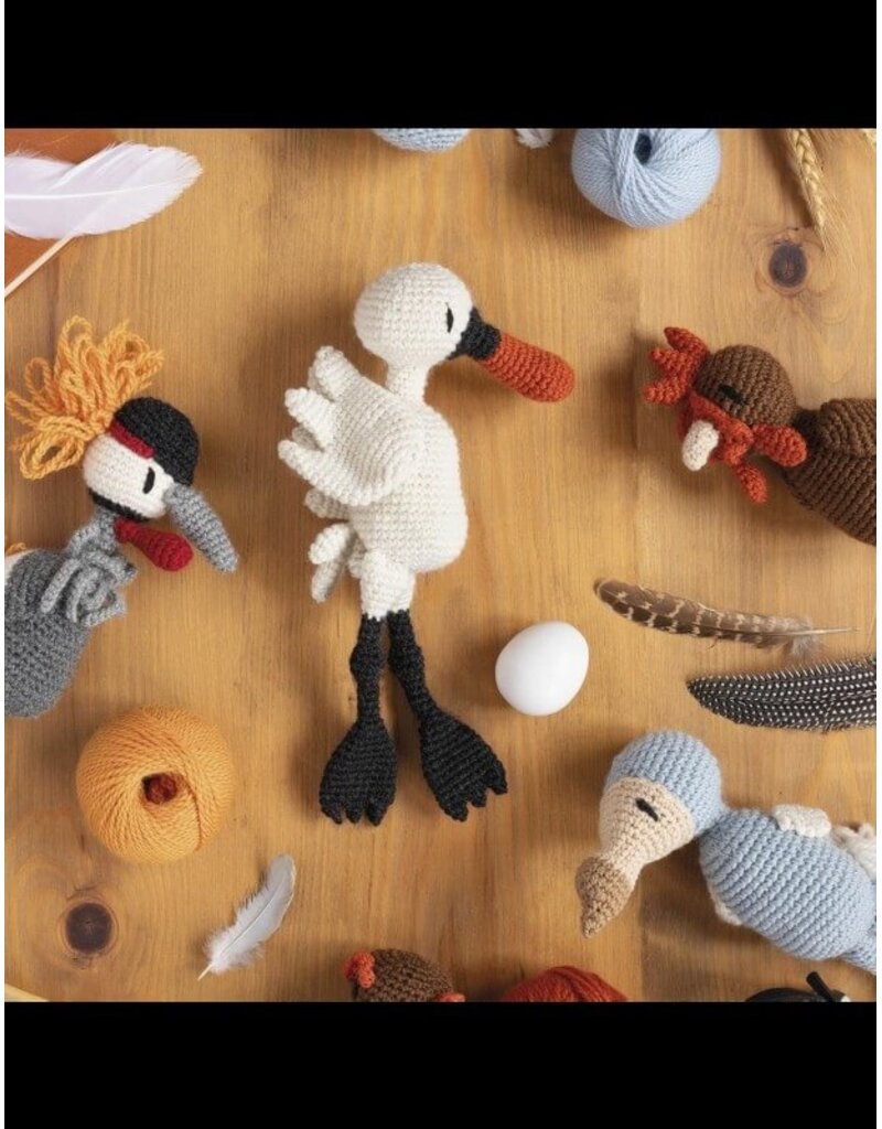 David & Charles DC Edward's Menagerie: Birds - New Edition