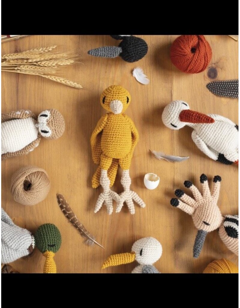 David & Charles DC Edward's Menagerie: Birds - New Edition