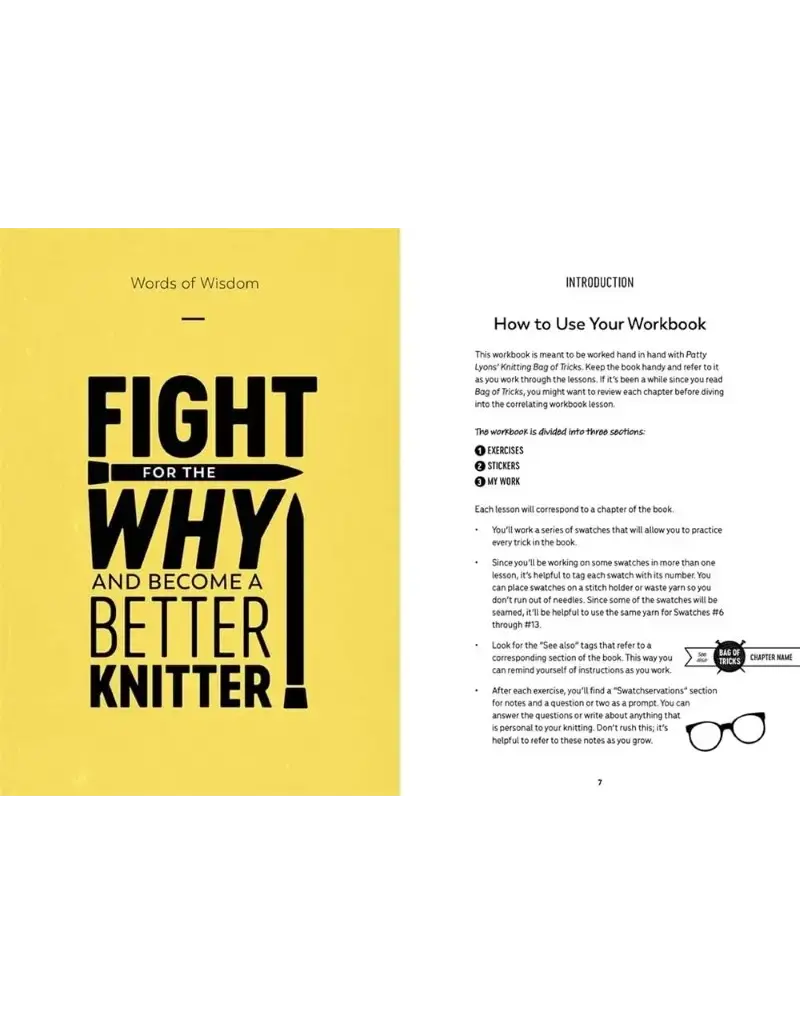 David & Charles DC Patty Lyons' Knitting Bag of Tricks: The Official Workbook