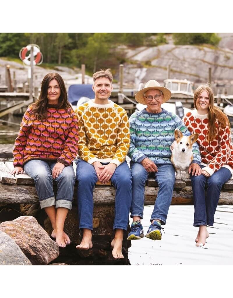 David & Charles DC Knit Modern Scandinavian Sweaters