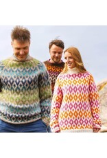 David & Charles DC Knit Modern Scandinavian Sweaters