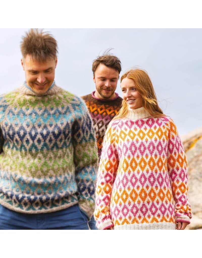 David & Charles DC Knit Modern Scandinavian Sweaters