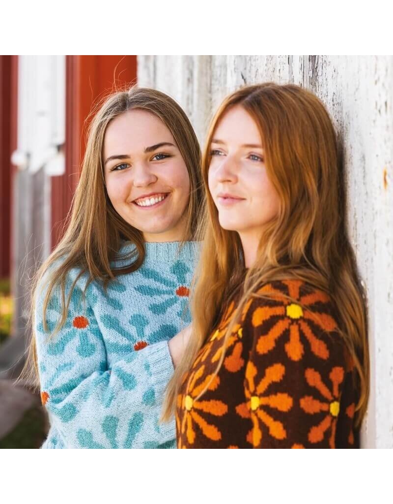 David & Charles DC Knit Modern Scandinavian Sweaters