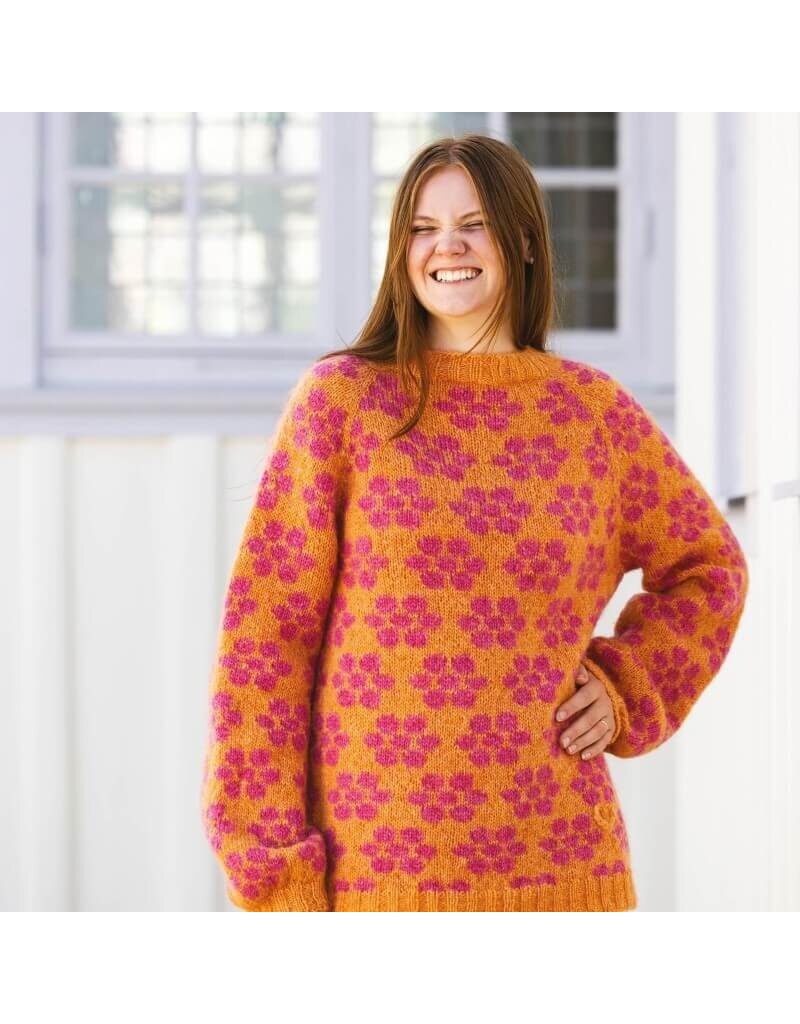 David & Charles DC Knit Modern Scandinavian Sweaters