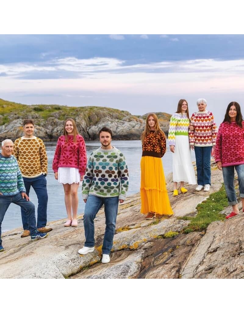 David & Charles DC Knit Modern Scandinavian Sweaters