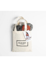 Blue Sky Fibers Blue Sky Persimmon Kit
