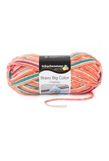 Schachenmayr SMC Bravo Big Color