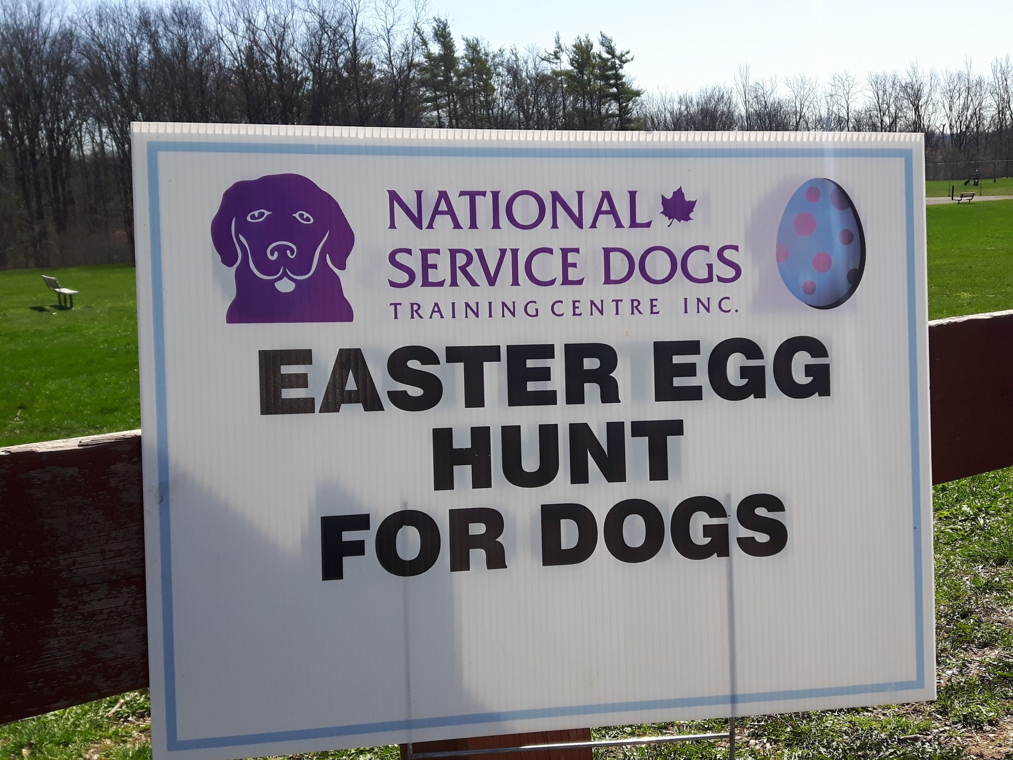 Don't miss the Easter Egg Hunt for Dogs!
