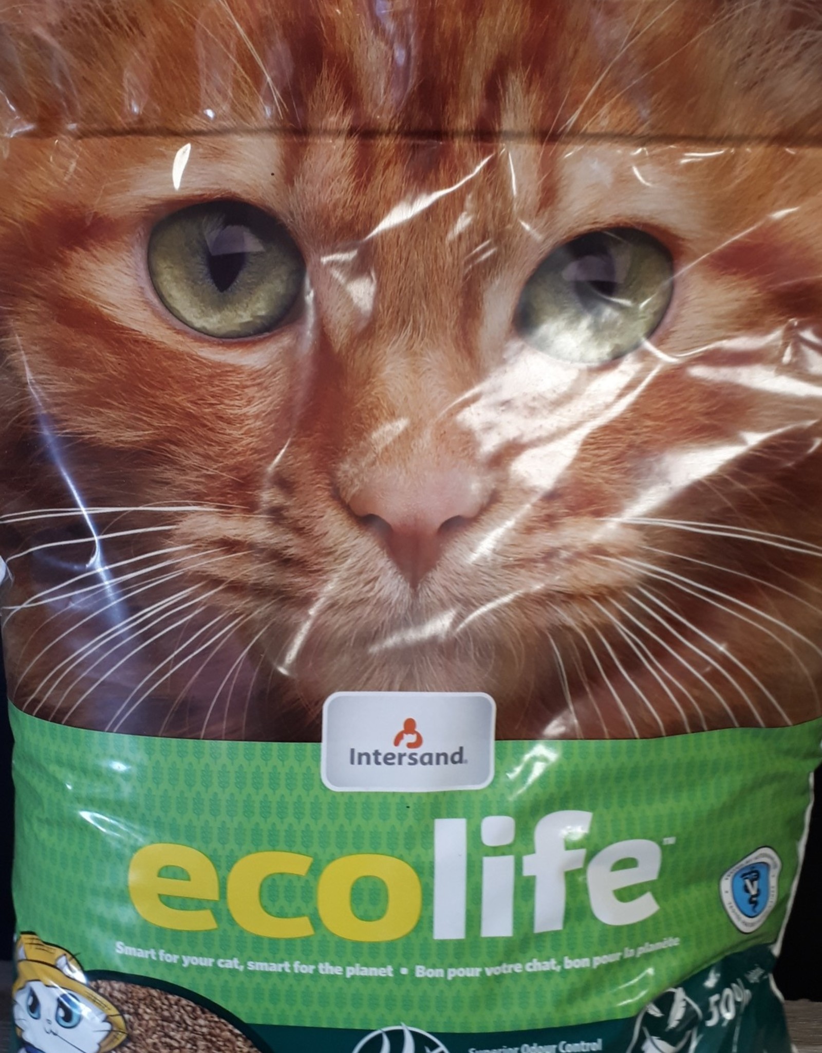 intersand cat litter