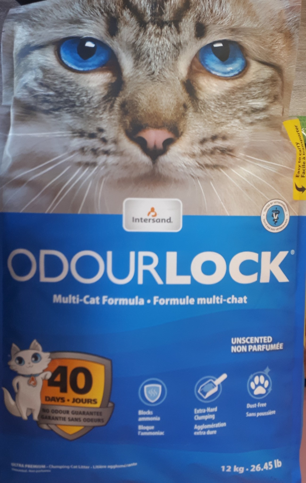 intersand odour lock