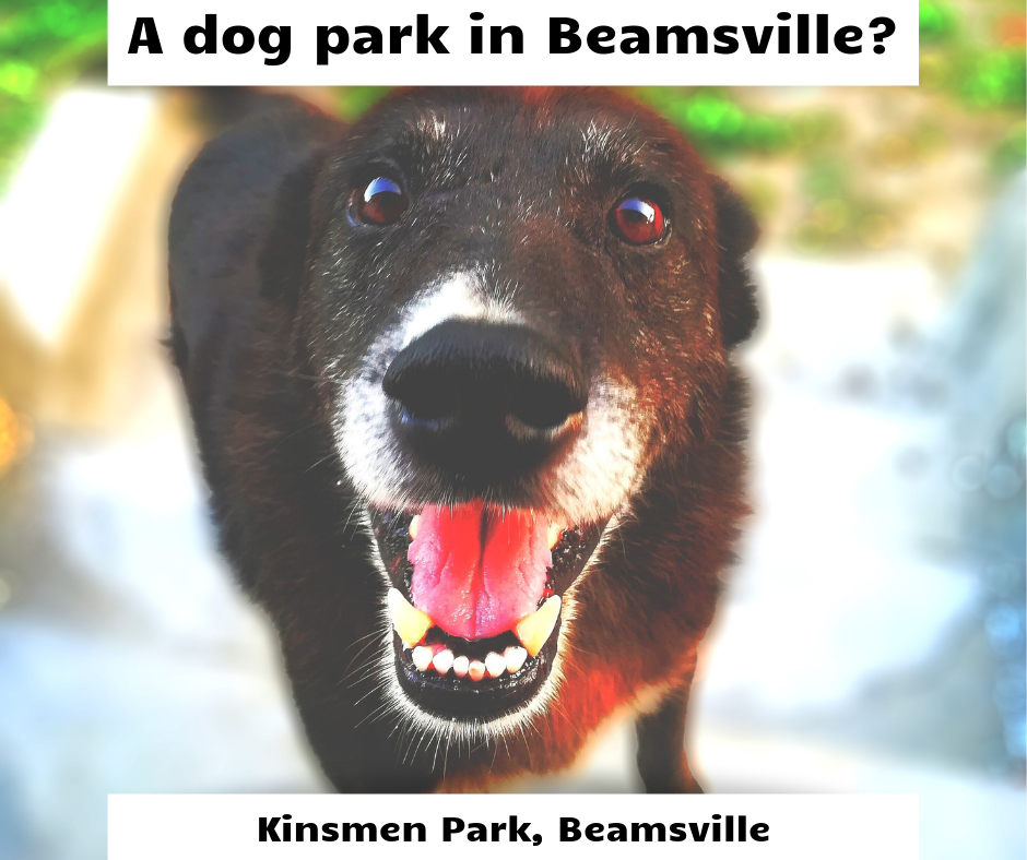 Beamsville's Dog Park