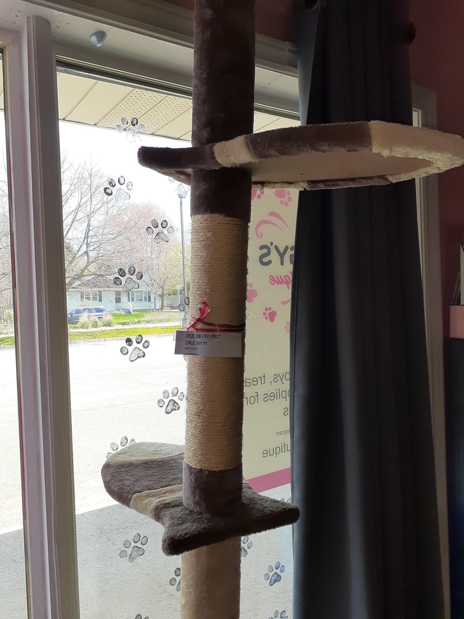 dome shaped litter box