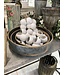 Decorative Dried Natural Bell Cups
