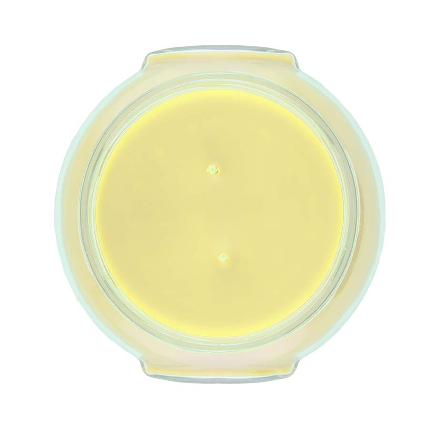 Tyler Limelight Candle 22oz