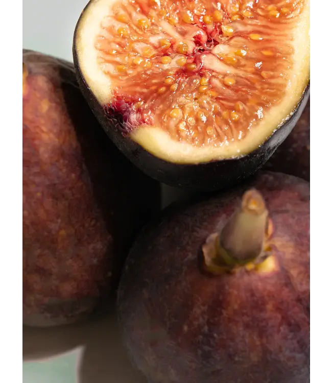 Santorini Pura Diffuser Refill