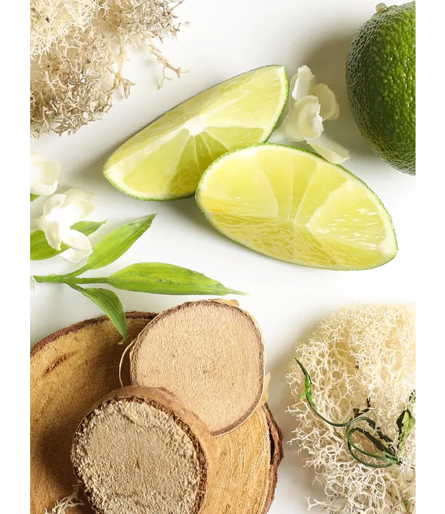 Homesick Pura Diffuser Refill