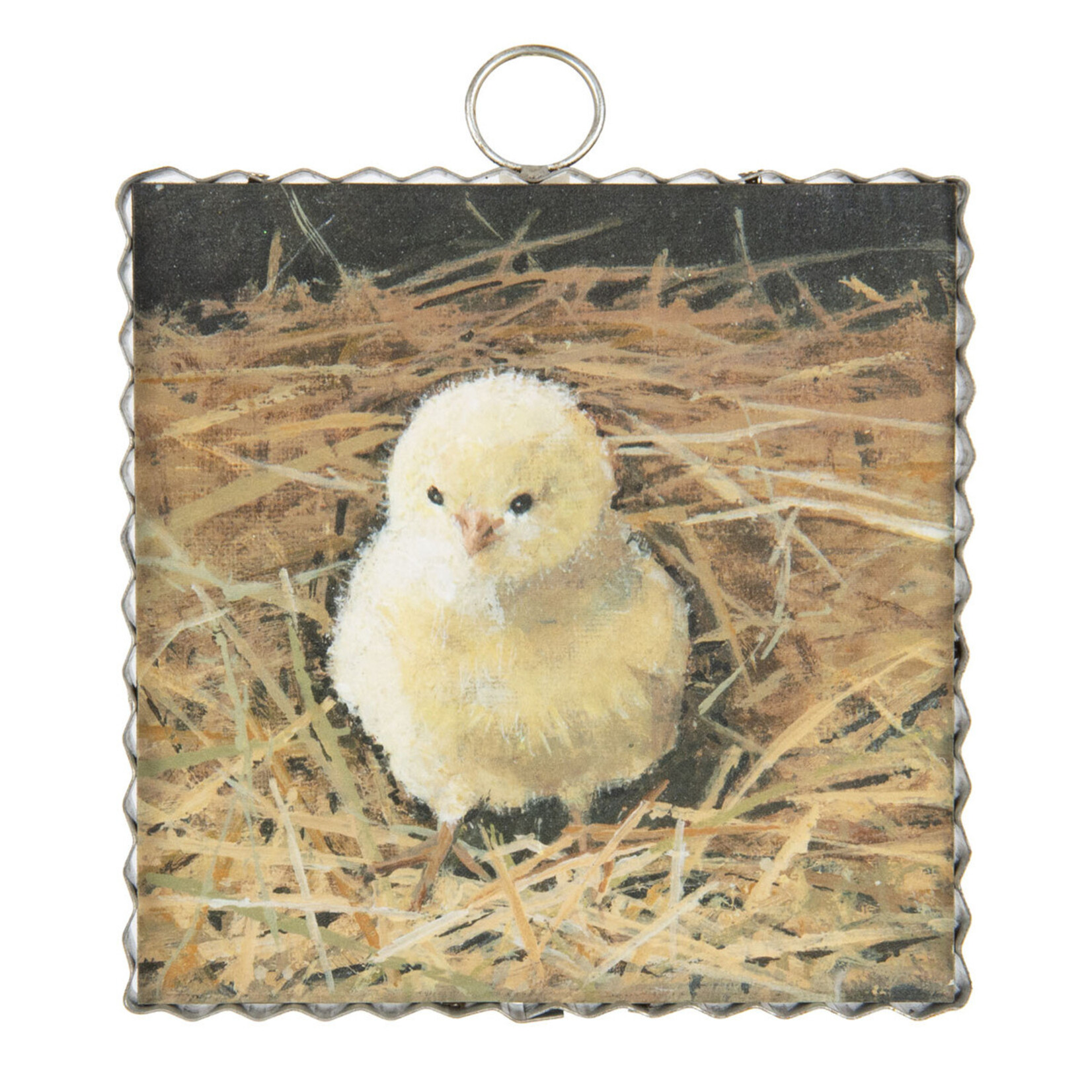 Round Top Mini Baby Chick Print