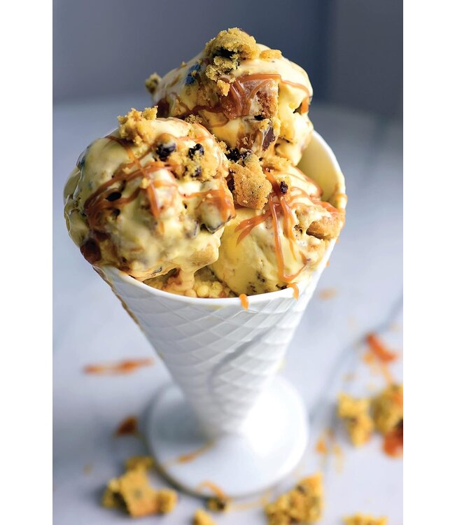 The Chocolate Chip Cookie Book