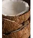 Coconut Calm Pura Diffuser Refill