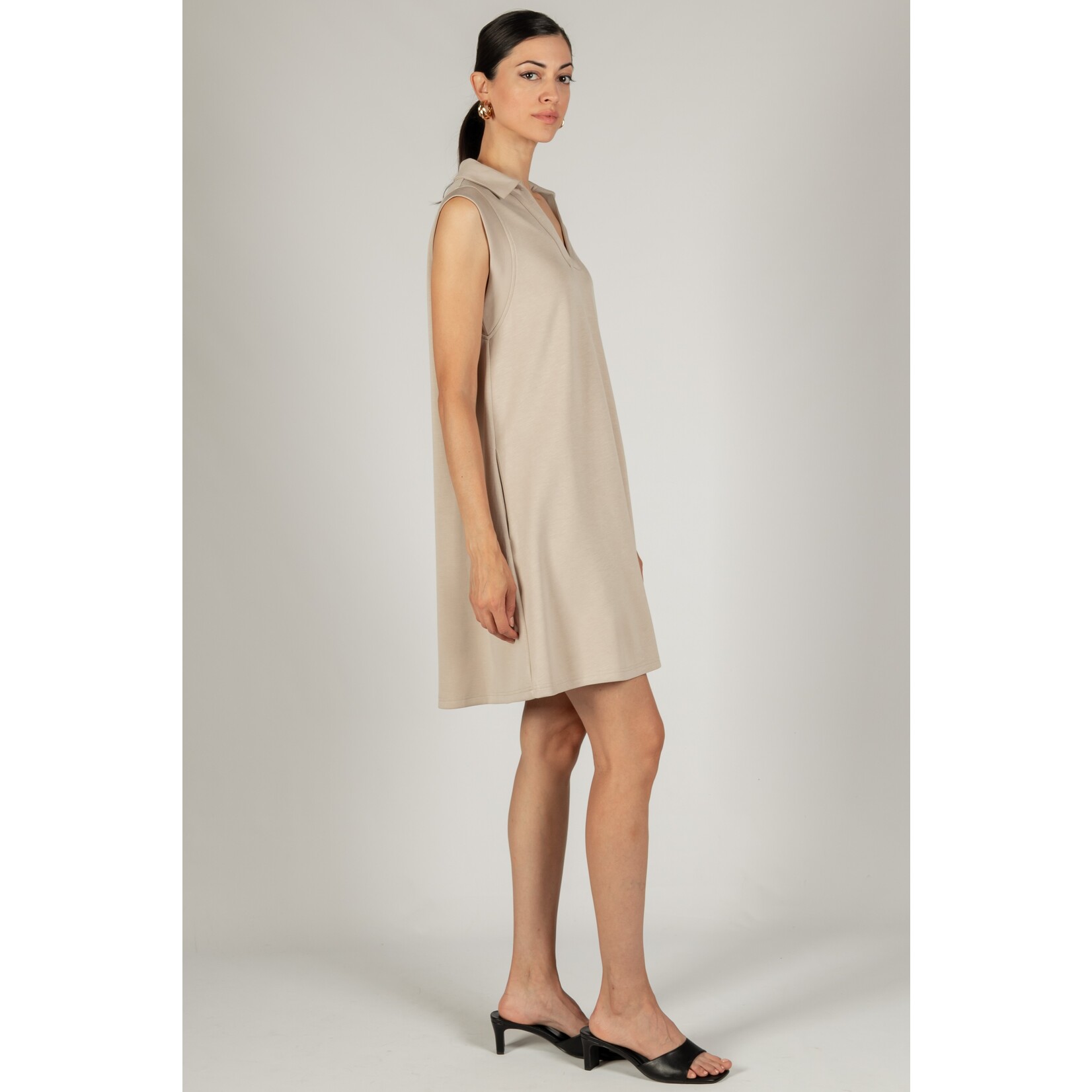 Claire Taupe Sleeveless Dress