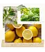 Thymes Lemon Leaf Petite Reed Diffuser