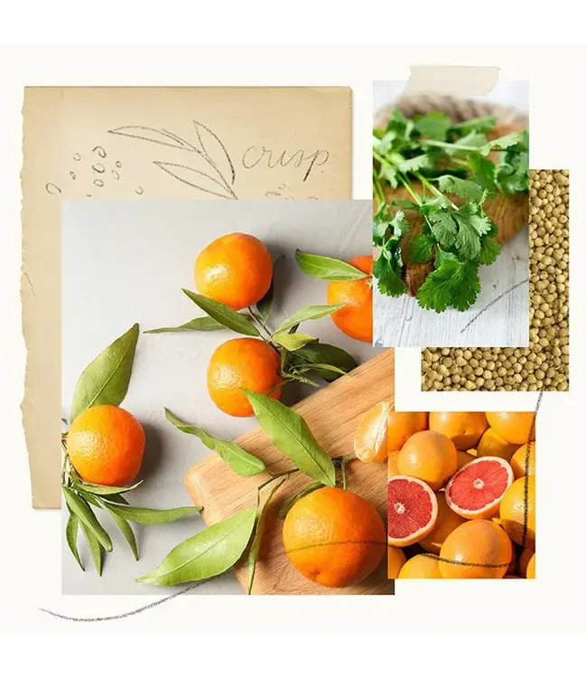 Thymes Mandarin Coriander Hand Wash