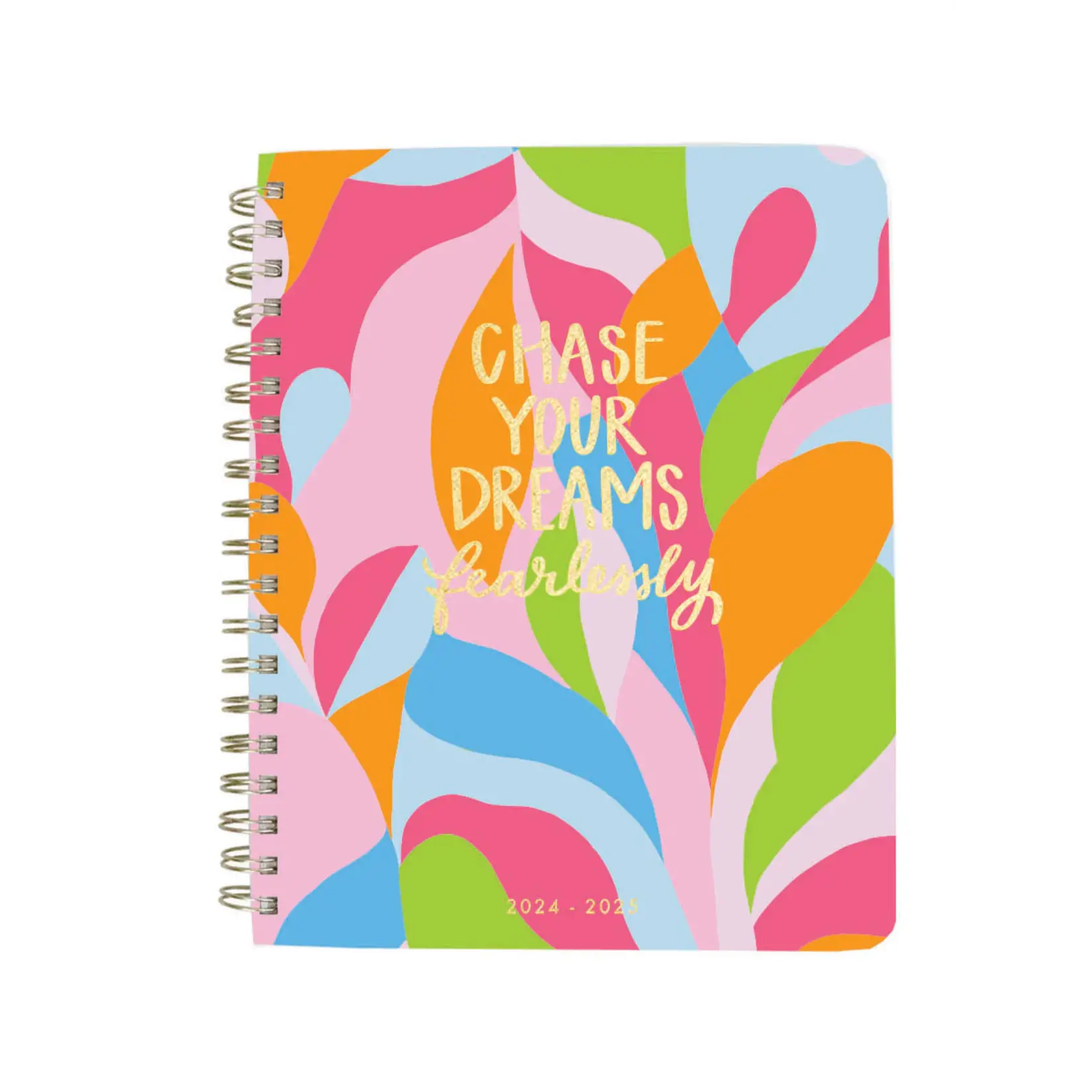 Chase Your Dreams Planner 2024-25