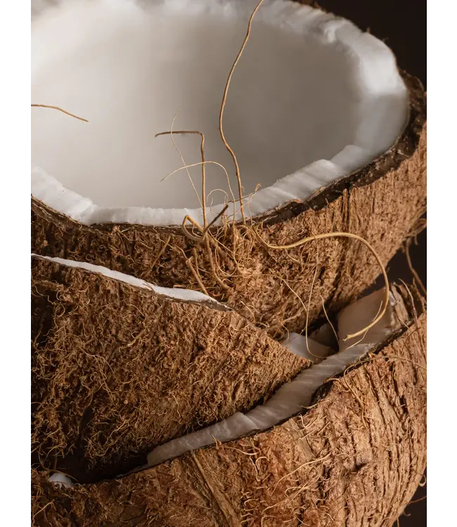 Coconut Milk Mango Pura Diffuser Refill