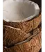 Coconut Milk Mango Pura Diffuser Refill