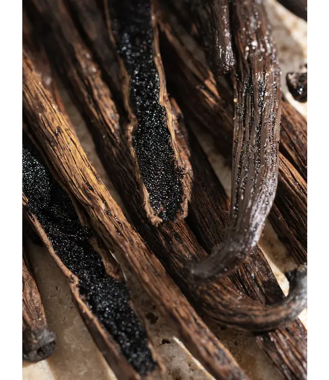 Vanilla Fleur Pura Diffuser Refill