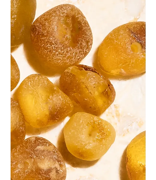 Big Sur Pura Diffuser Refill