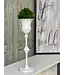 Small Cream Fluted Holder
