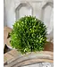 Small Seed Head Half Sphere