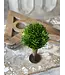 Small Seed Head Half Sphere