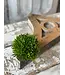 Small Seed Head Half Sphere
