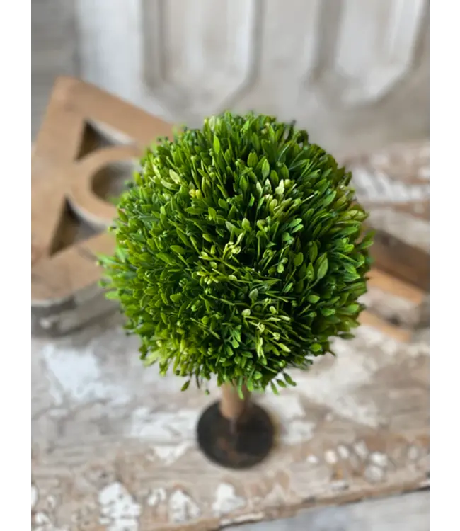 Large Seed Head Half Sphere