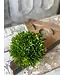 Large Seed Head Half Sphere