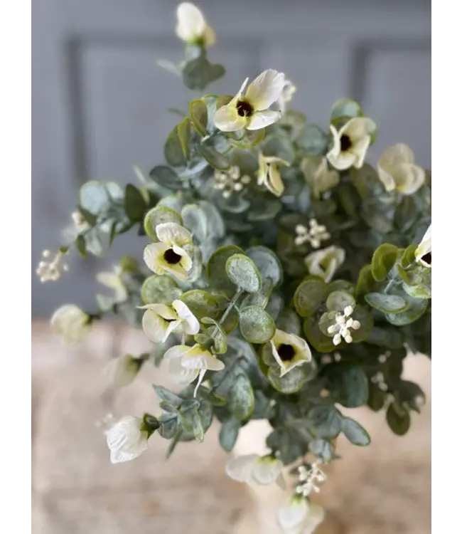 Folklore Florets Cream Bush
