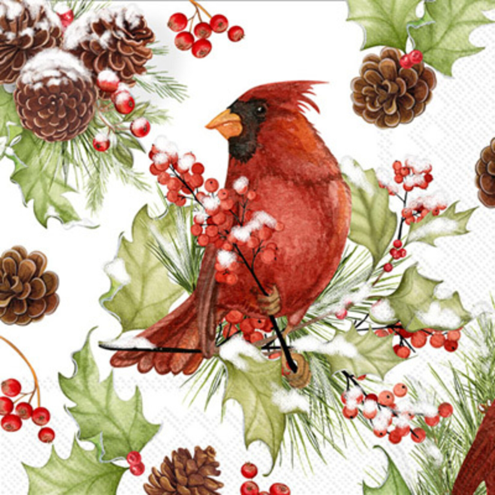 Cardinals In Holly Cocktail Napkins