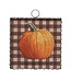 Round Top Mini Pumpkin On Checks Print