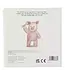 Pigs Can Fly Board Book
