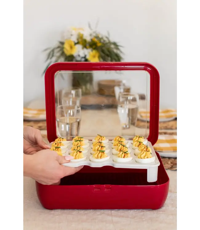 Fancy Panz Deviled Egg Trayz Insert