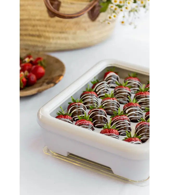 Fancy Panz Deviled Egg Trayz Insert