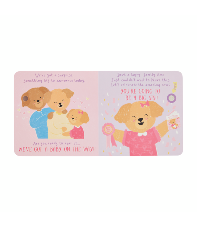 Sounds Like Big Sister Book