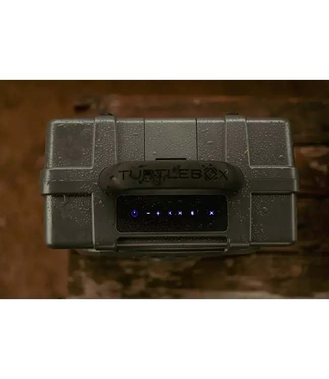 Turtlebox Gray Gen 3