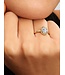 Pandora Oval Sparkling Halo Ring FINAL SALE
