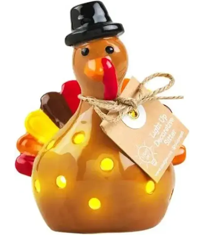 Turkey Light Up Sitter
