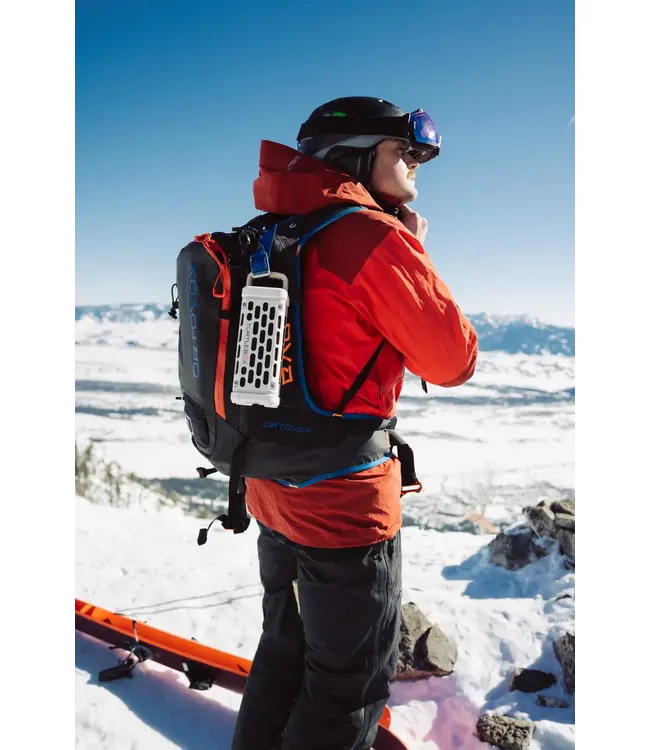 Turtlebox Ivory Ranger