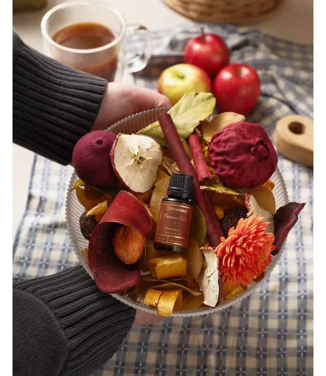 Aromatique Cinnamon Cider Decorative Fragrance