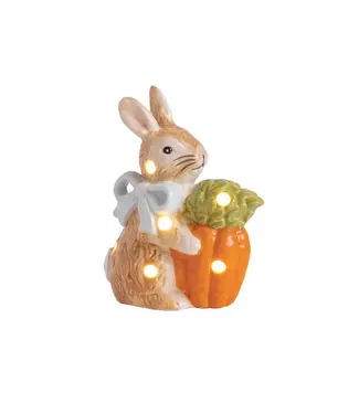 Bunny Carrot Light Up Sitter